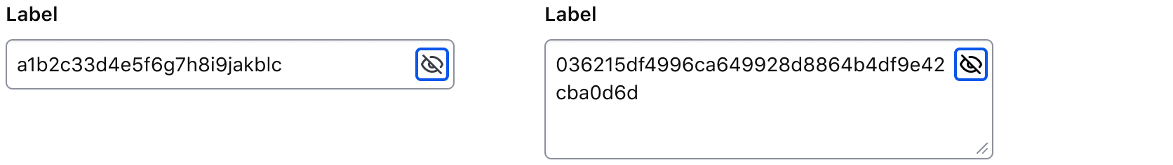 Keyboard masked input toggle focus example